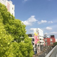 CIBAYI金山スタジオ前の昼クラスへの行き帰りはこんな雰囲気です。